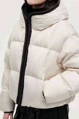 Cozy Hooded Insulated Puffer Jacket