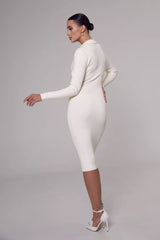 Polo Neck Bodycon Sweater Dress