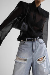 Elegant Sheer Long Sleeve Blouse