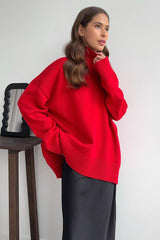Solid Color Turtleneck Knit Sweater