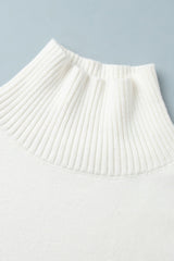 Solid Color Turtleneck Knit Sweater