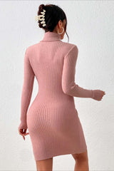 Slim Fit Turtleneck Sweater Dress