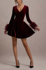 Long Sleeve V Neck Mini Dress