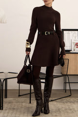Thick Knit Turtleneck Sweater Dress