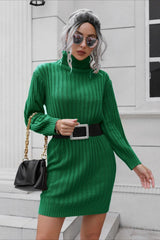 Short Ribbed Turtleneck Sweater Dress