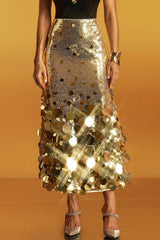 High Waist Sequin Panel A Line Maxi Skirt