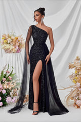 Sequin Mesh Panel Evening Party Dress