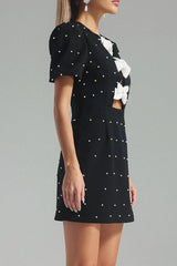 Bow Detail Paneled Mini Dress
