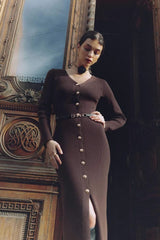 Long Sleeve Button Sweater Dress S / Brown