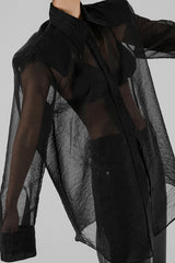 Elegant Sheer Long Sleeve Blouse