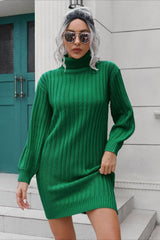 Short Ribbed Turtleneck Sweater Dress