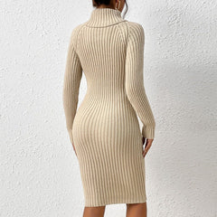 Turtleneck Bodycon Sweater Dress