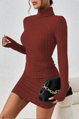 High Neck Slim Fit Knit Sweater Dress