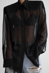 Elegant Sheer Long Sleeve Blouse
