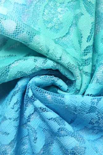 Embroidered Mesh Midi Dress