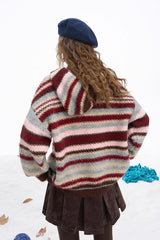 Rainbow Stripe Toggle Hooded Sweater