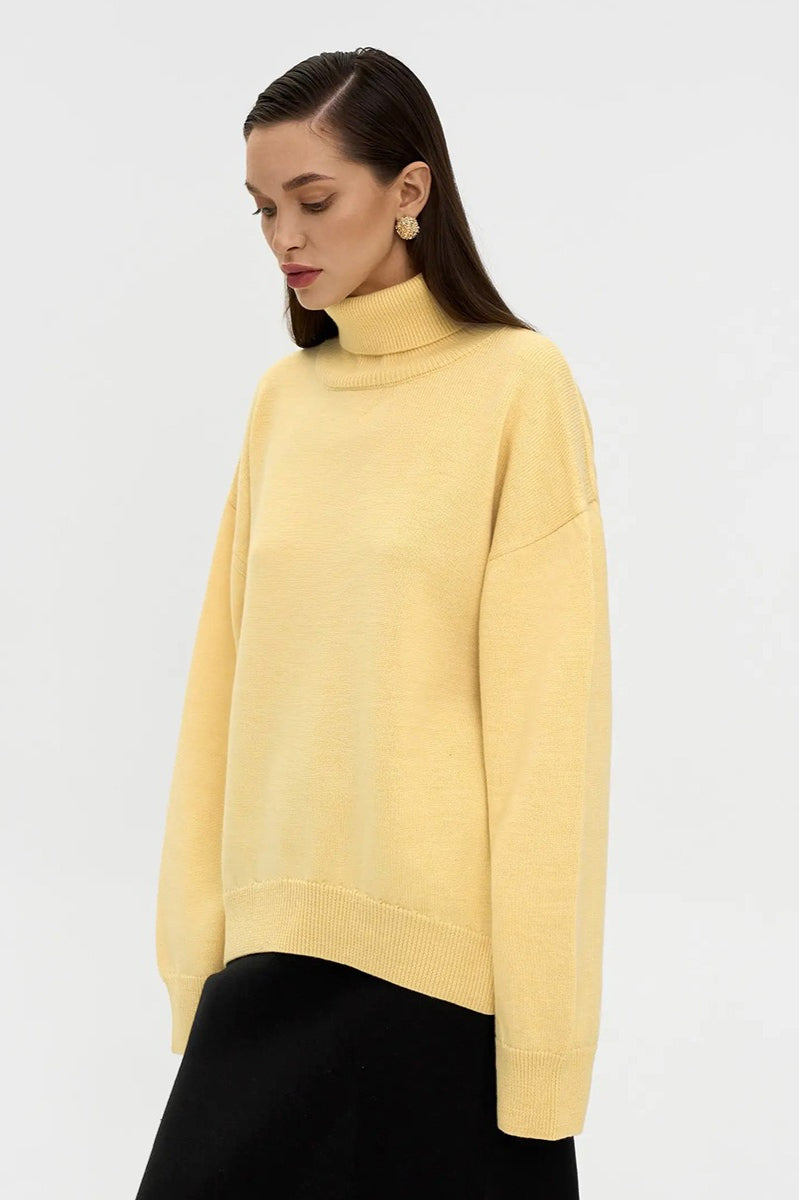 Turtleneck Loose Knit Pullover Sweater