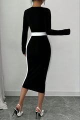 Color Block Panel Bodycon Cocktail Dress