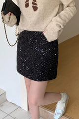 Sparkly Sequin High Waist Mini Skirt