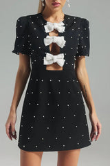 Bow Detail Paneled Mini Dress