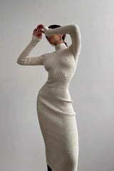 Semi-High Neck Slim Fitted Knit Sweater Dress