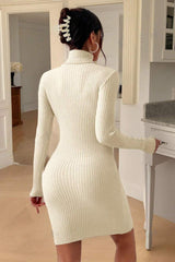 Slim Fit Turtleneck Sweater Dress
