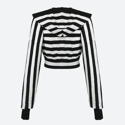 Grunge Striped Hooded Crop Top
