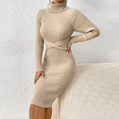 Turtleneck Bodycon Sweater Dress