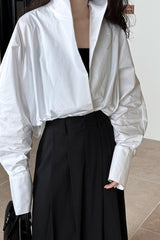 Stand Collar Deep V Layering Blouse