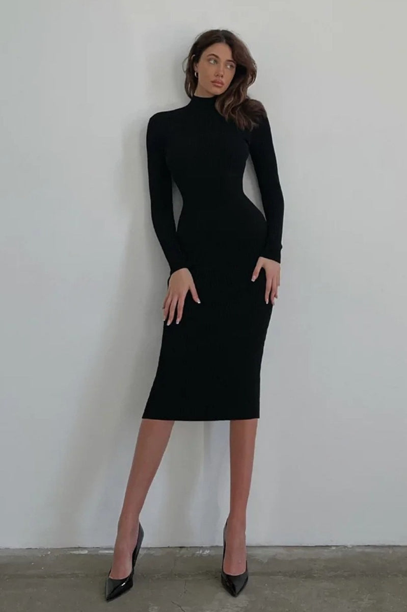 Semi-High Neck Slim Fitted Knit Sweater Dress S / Black-Long