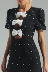 Bow Detail Paneled Mini Dress