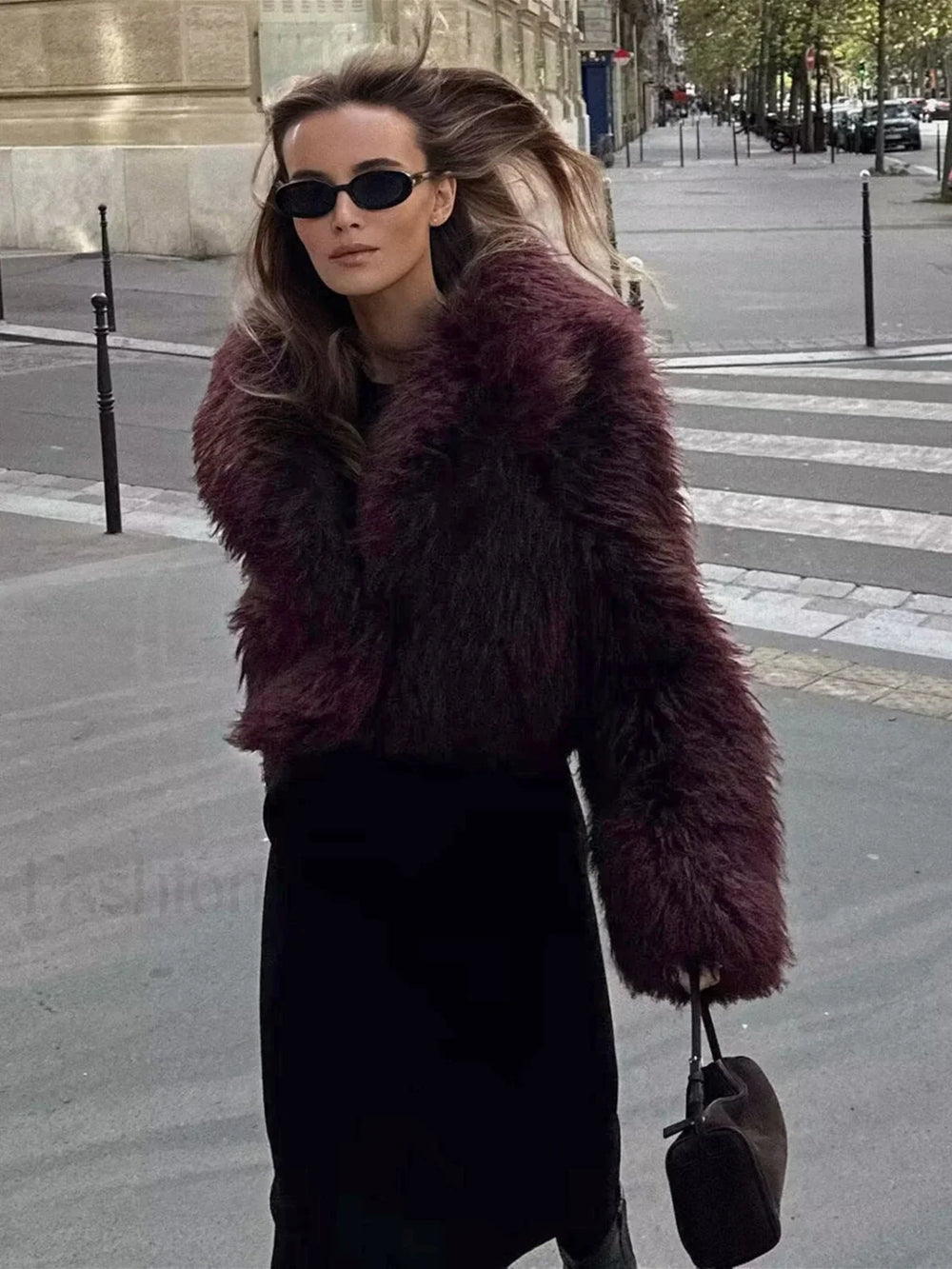 Fuzzy Faux Graceful Fur Short Coat Women Faux Fur Coats