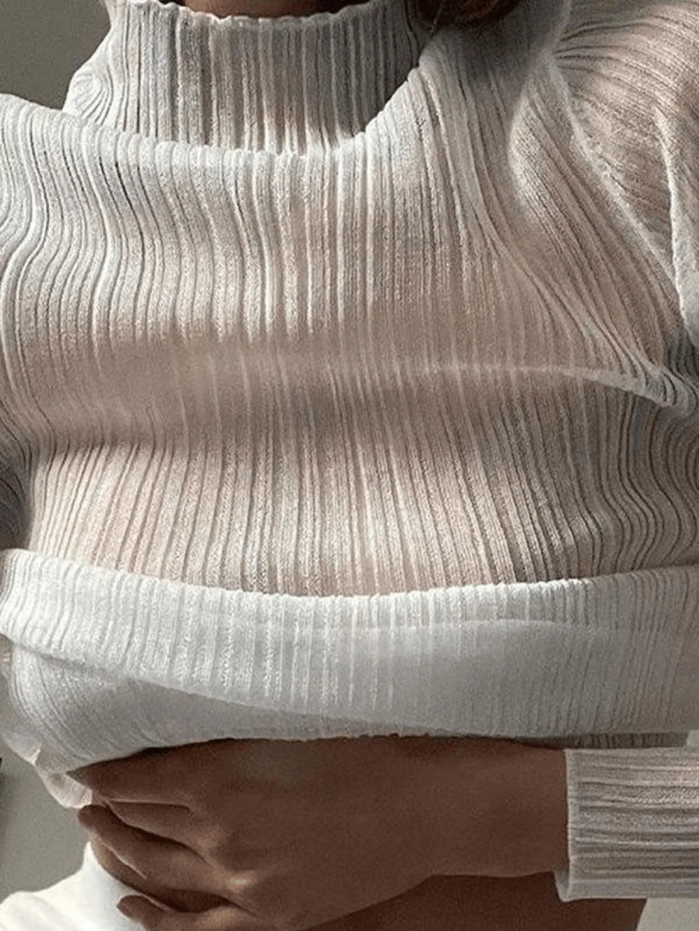 High Neck Semi Sheer Knit Top Tops&Tees