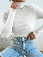 Turtleneck Ribbed Knit Sweater Sweaters